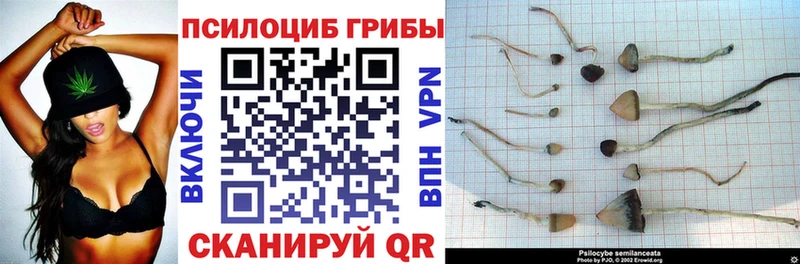 Псилоцибиновые грибы прущие грибы  Яровое 