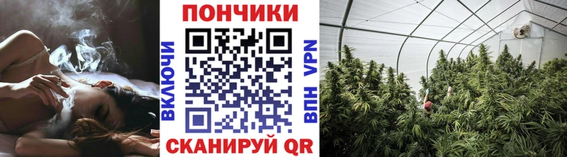 где купить наркоту  Яровое  Бошки Шишки гибрид 